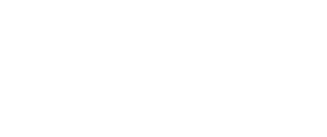 Vanatix - Die SAP FS-ICM Experten